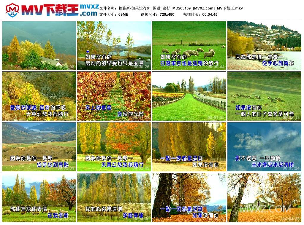 赖雅妍-如果没有你_国语_流行_MD205159